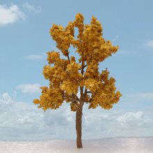 model trees